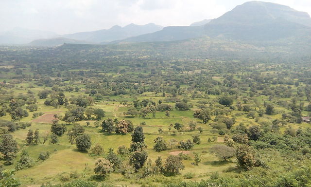 Scenic Village