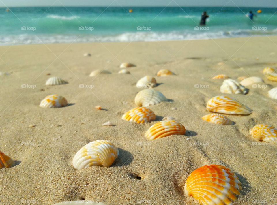 Beach, Sand, Seashore, Sea, Ocean