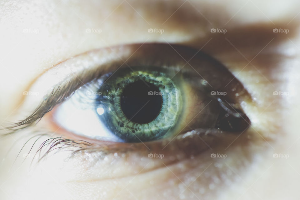 Extreme close-up of Person eye