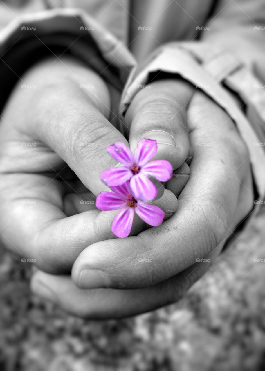 Person hand holding flower
