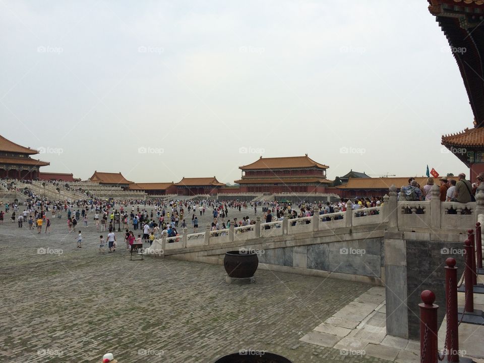 A busy day inside the forbidden palace