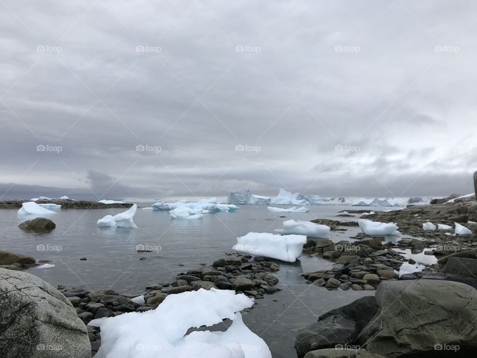 Icebergs in Antarctica 