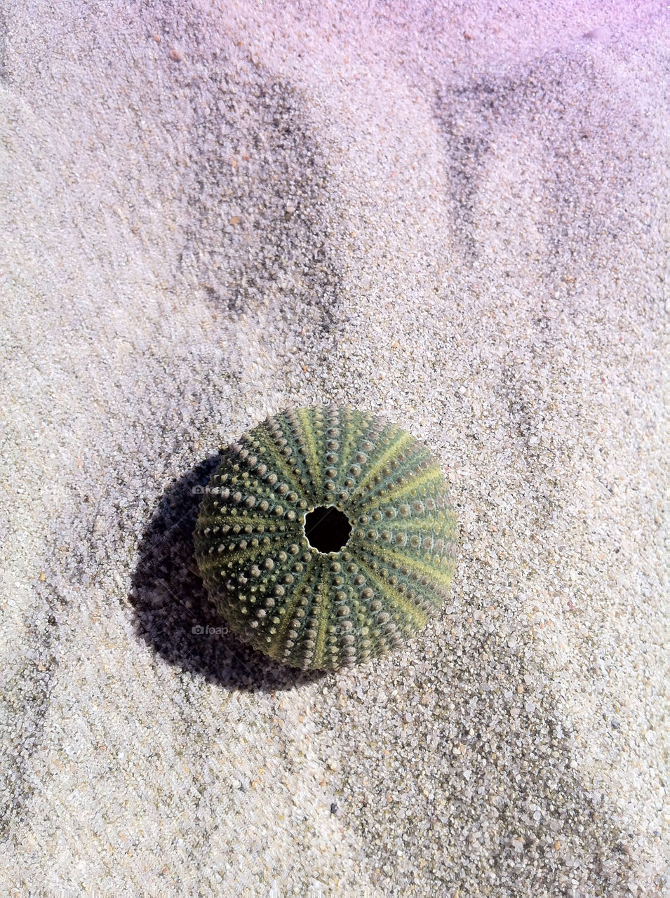 beach green summer hot by aishhaa