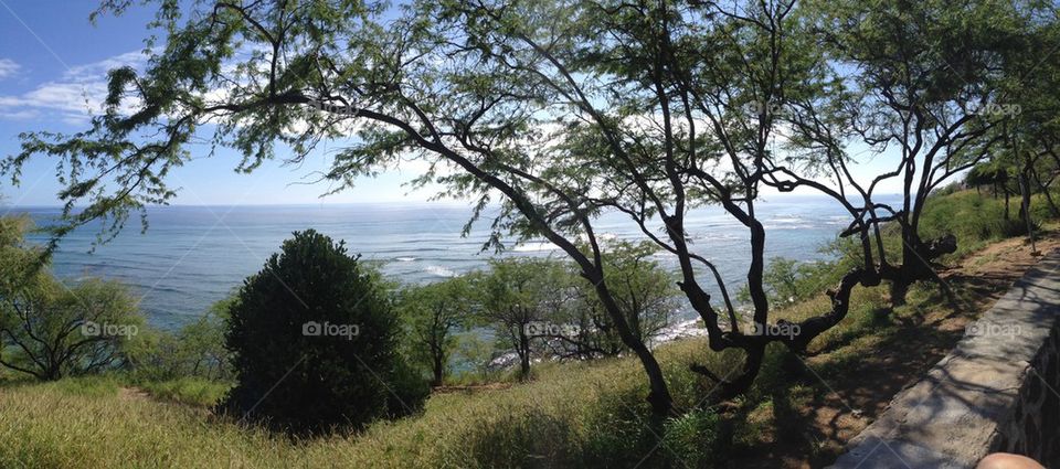 Diamond Head