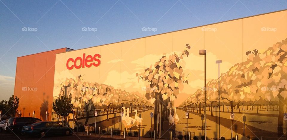 Coles