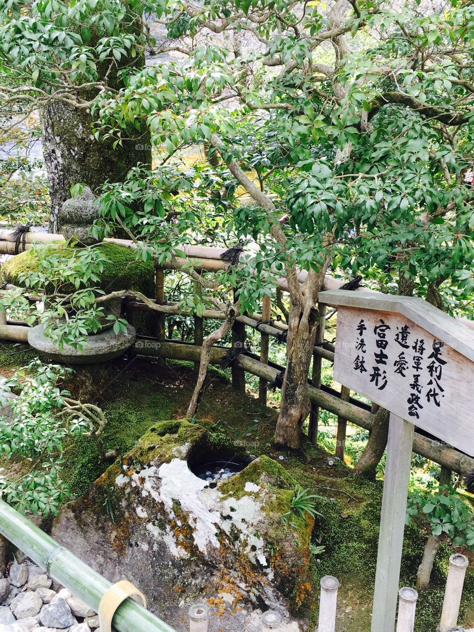 Beautiful, historical japan. Breathtaking views, vibes, and culture. Simply amazing. 