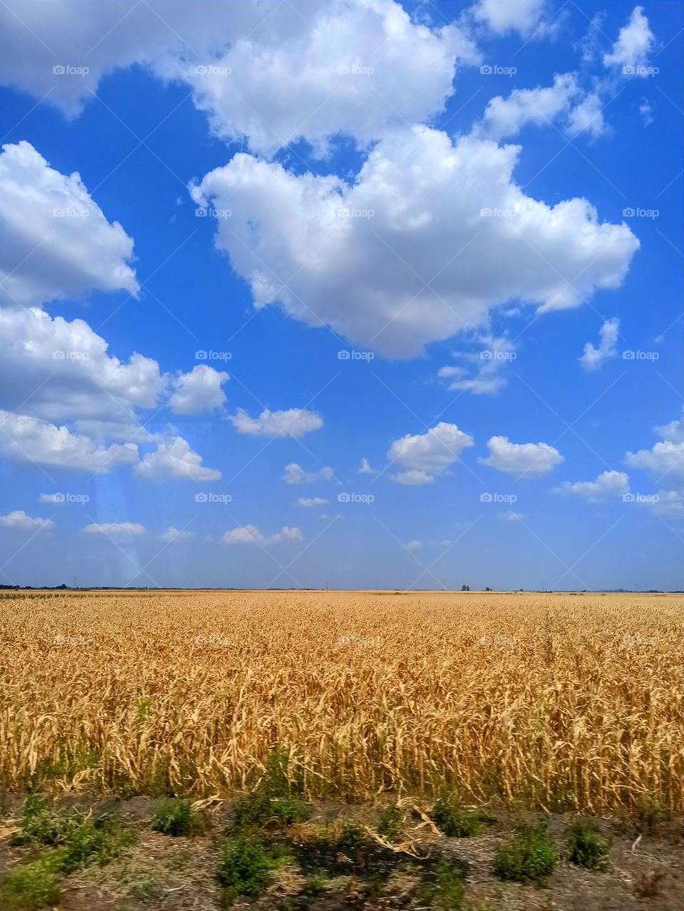 Vacation series: Road trips
road, path, car window view, journey, tourism, summer, good time, travel time