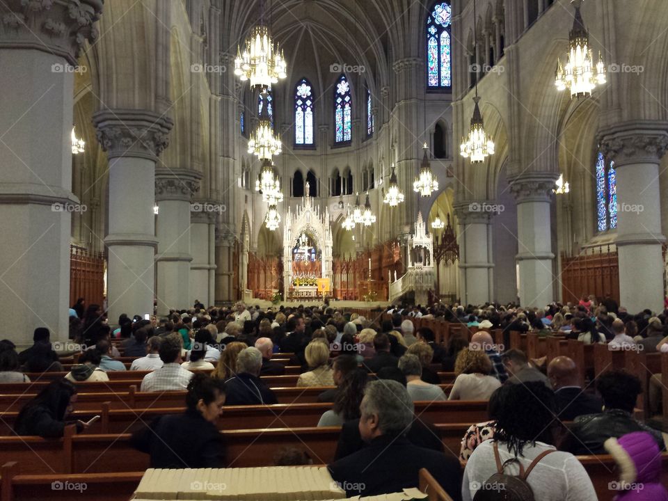 Basilica Convocation 3