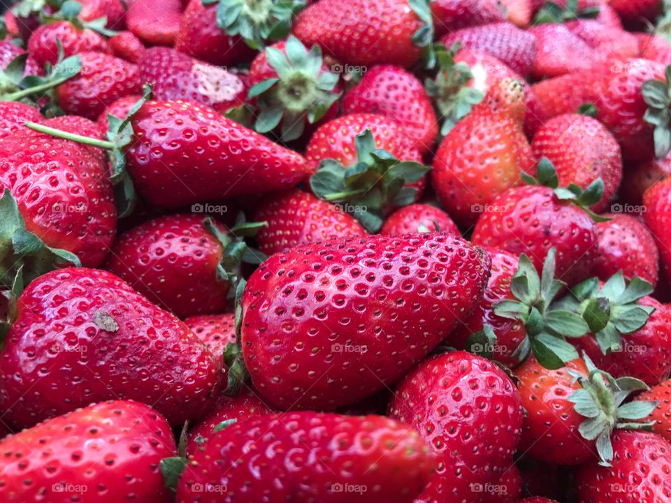 Beautiful Strawberries 