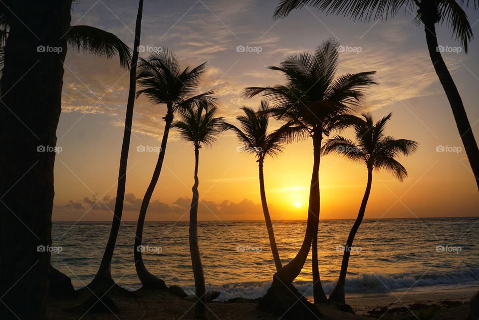 Caribbean sunrise among the sea and palm trees in Dominica Republic 
