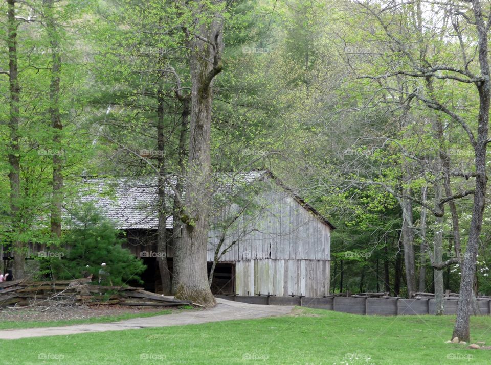 Old Barn