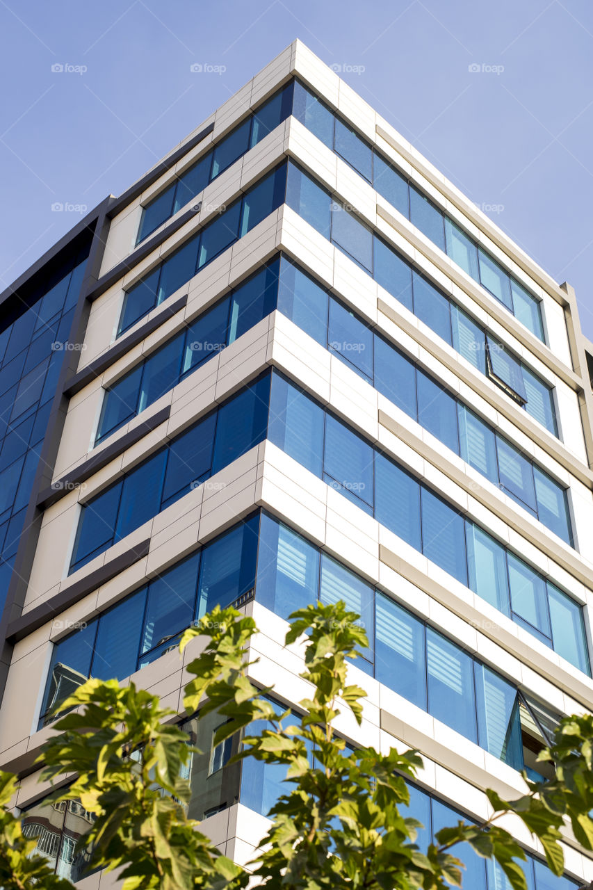 Tree and office Buildings