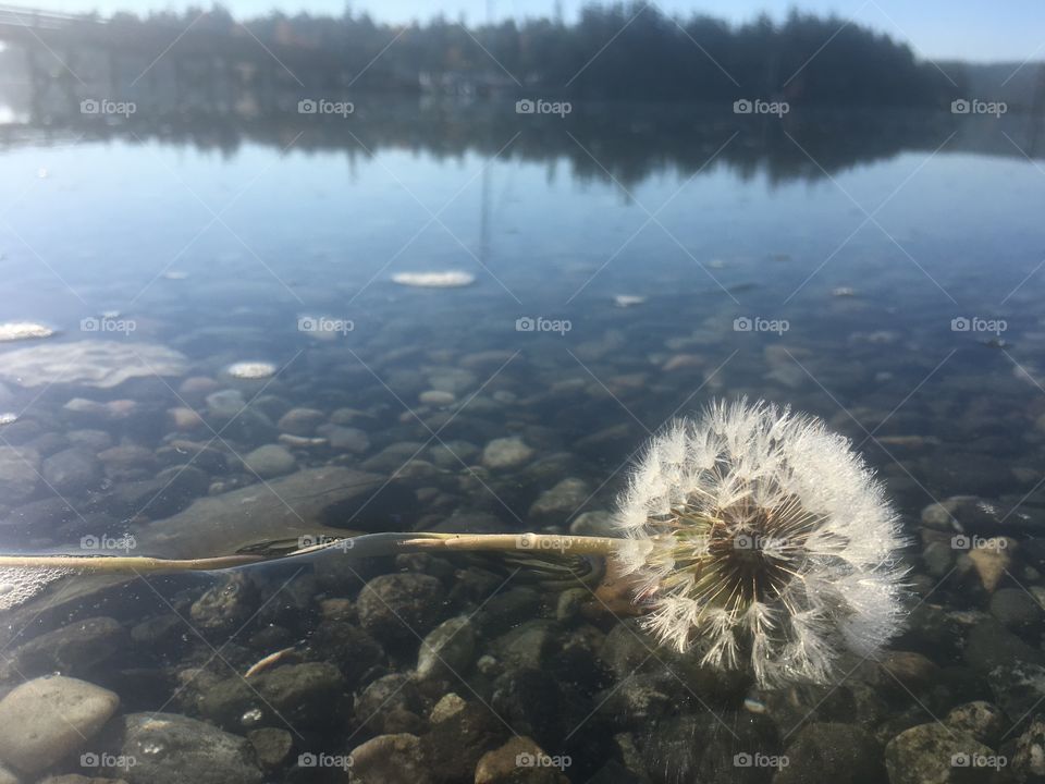 Water, No Person, Lake, Reflection, River