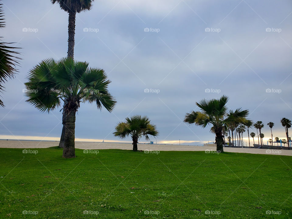 Overcast Zenice Beach
