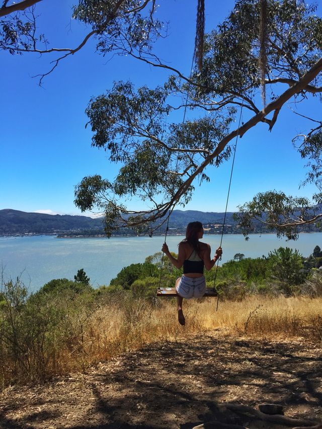 Hippy hill 