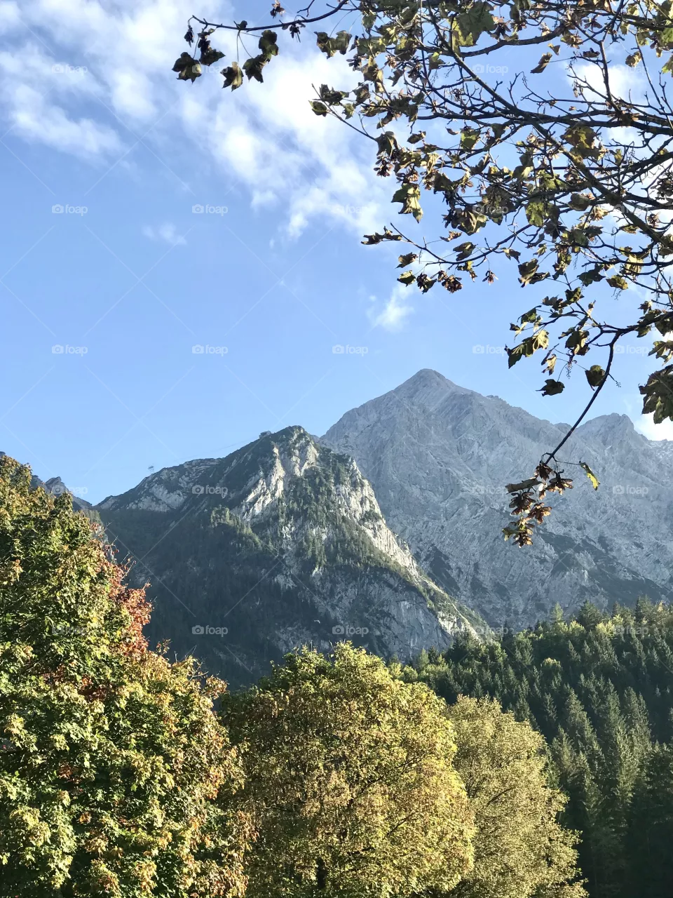 Mountains,Forest
