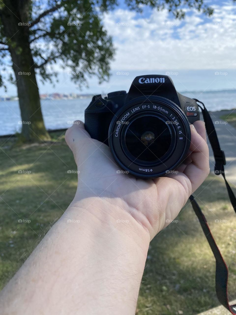 The eye that never blinks 