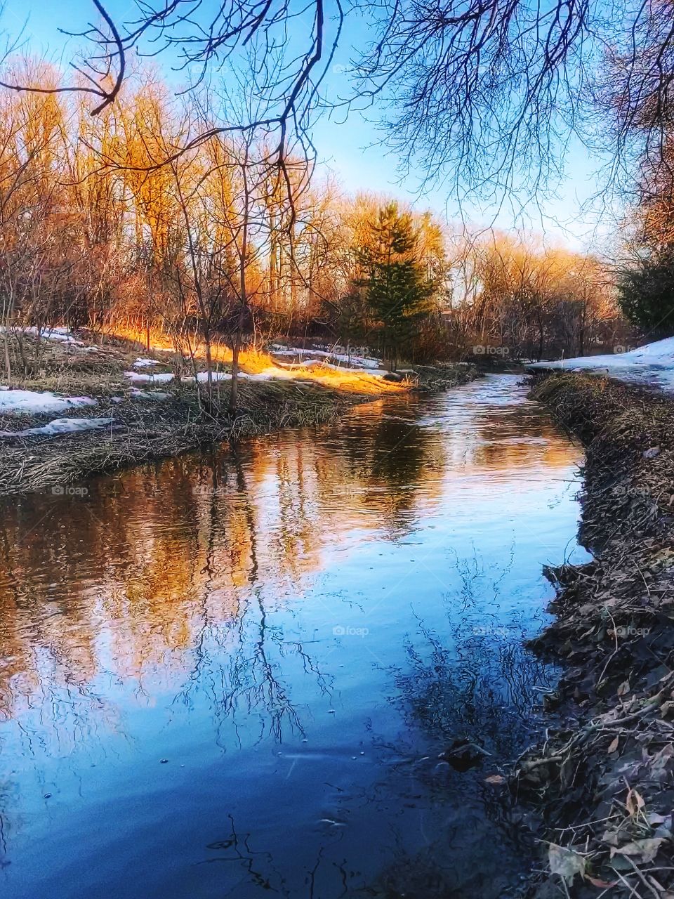 Springtime reflections 