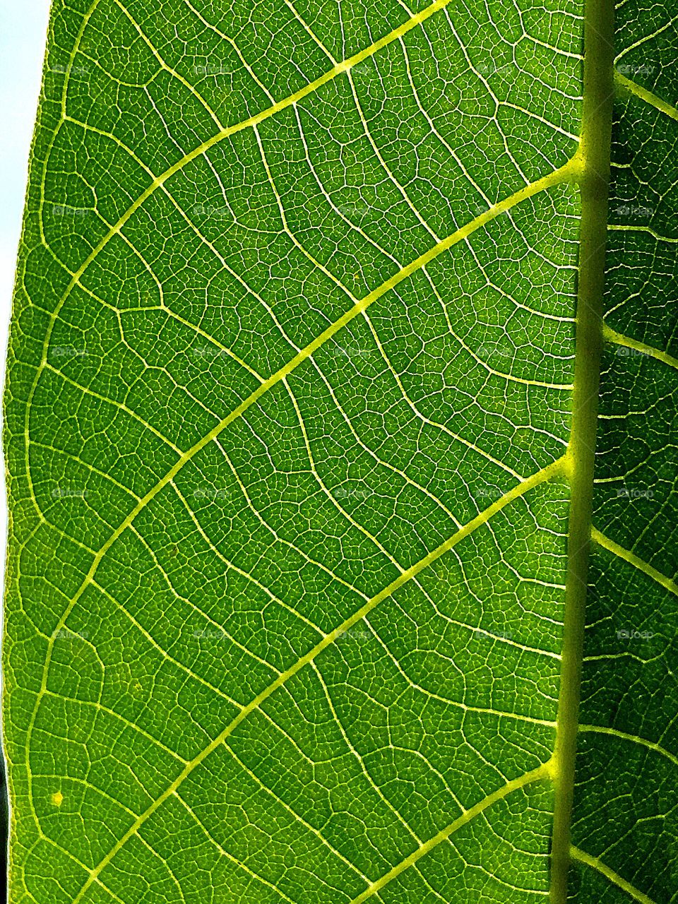 Captured with iPhone 6s Plus 