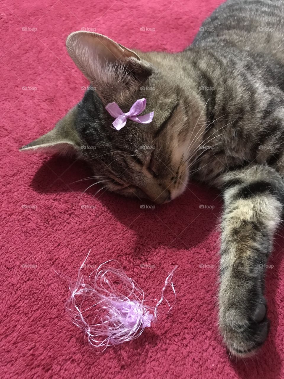 A little gray kitten with black stripes is laying down on a red blanket and sleeping.