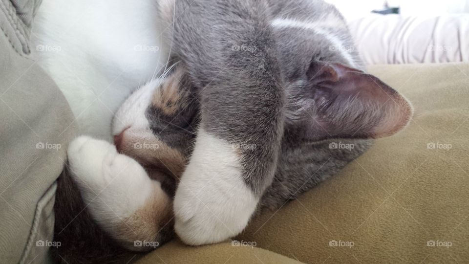 Hepburn Thinks it is Too Bright