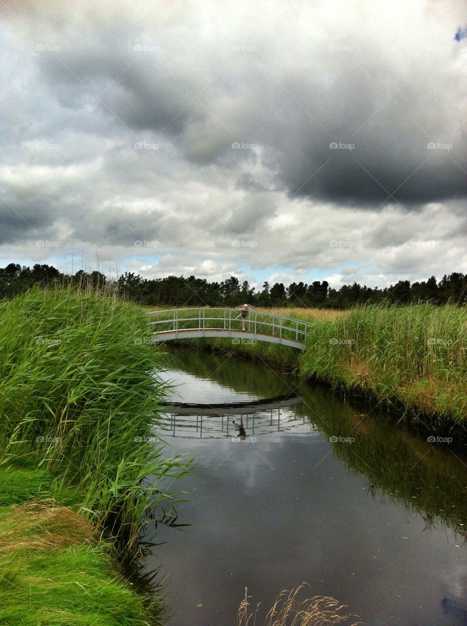 sky green girl grass by greirik