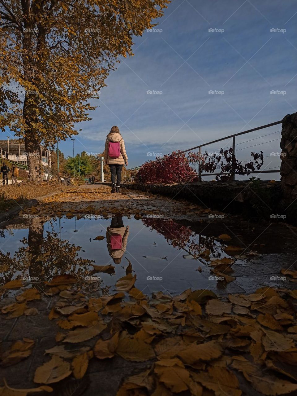 Reflection in the autumn puddle. girl in autumn. autumn day. Ukraine.