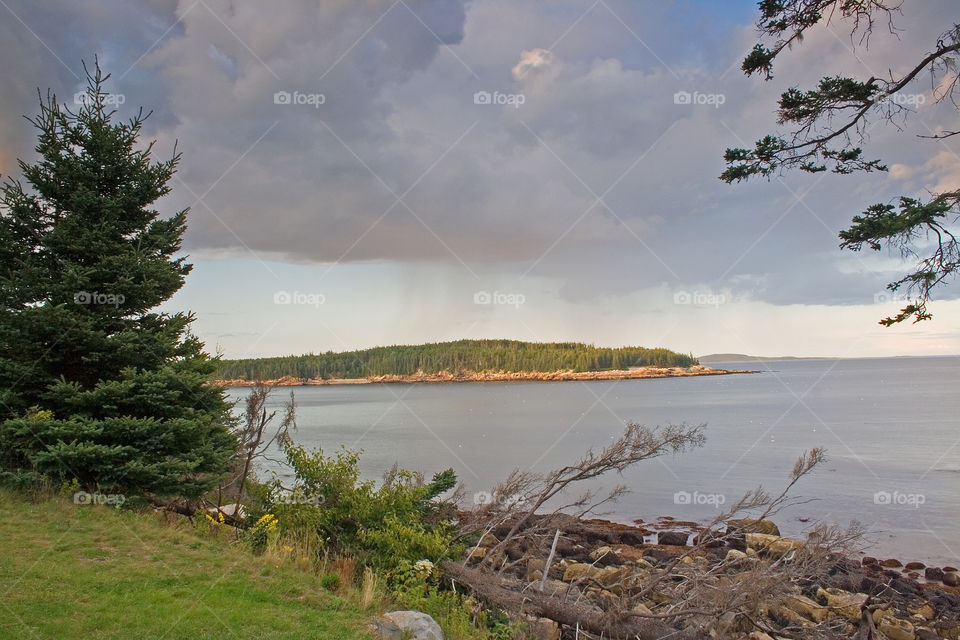Otter Cove in Acadia National Park