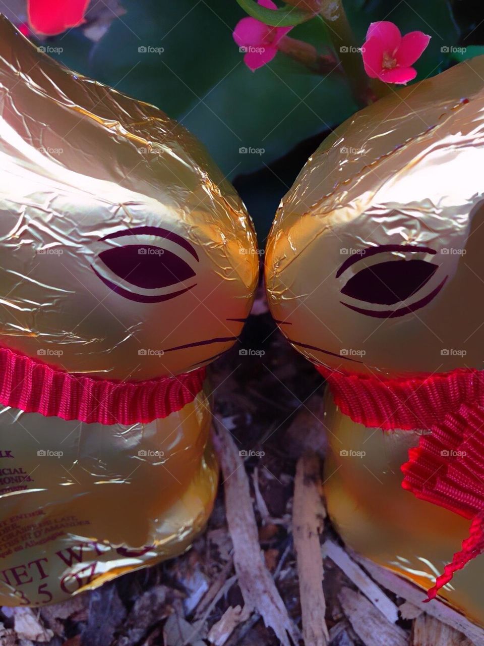 Chocolate bunnies kisses.