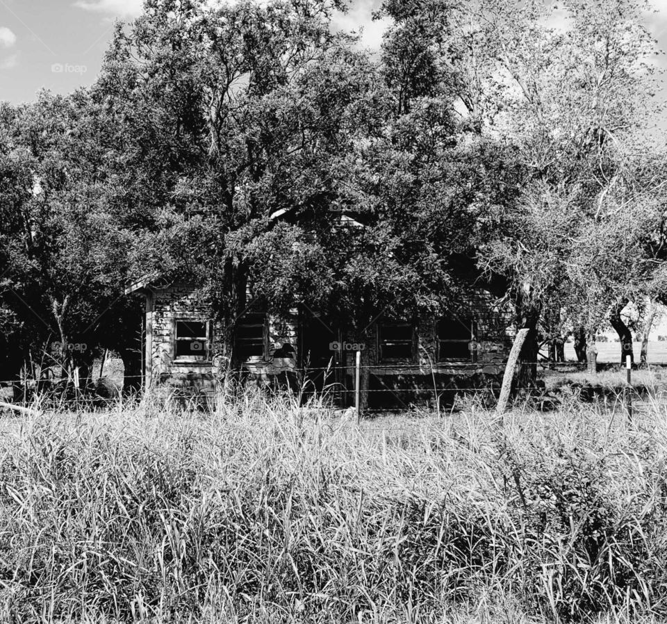 black and white of abandoned farmhouse