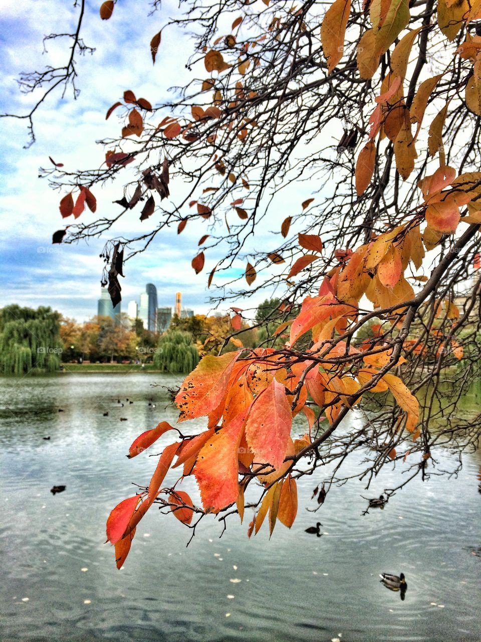 Autumn in the city 