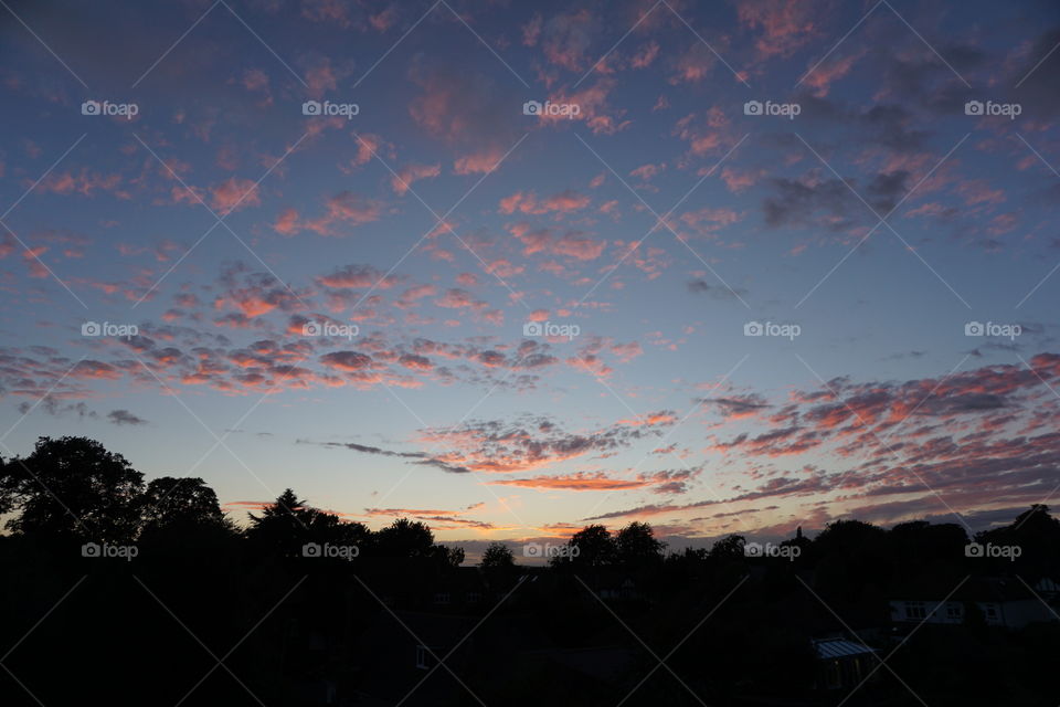 Candy Floss  Sunset ... blue sky background with lots of little pink clouds floating in the sky as the sun sets 