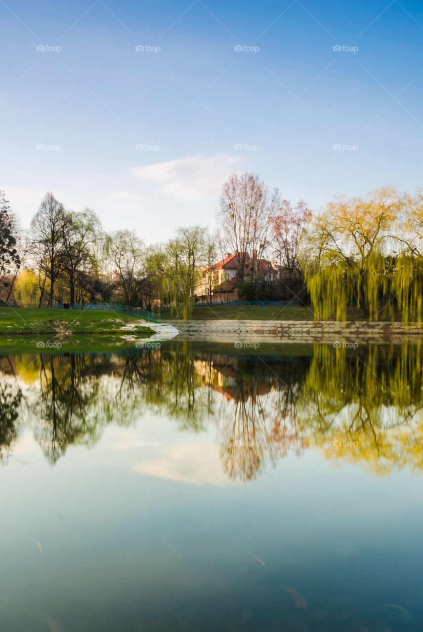 city park with lake in the spring season