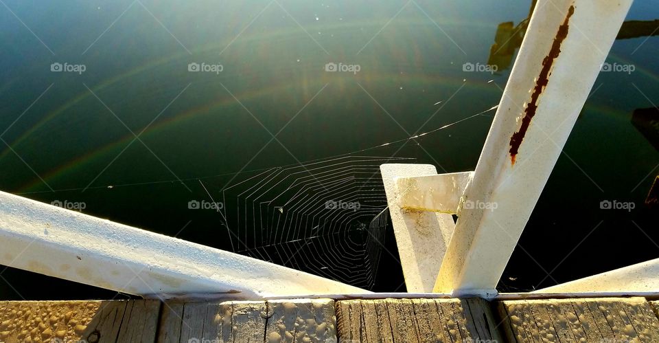 spiderweb and rainbows on a dock.