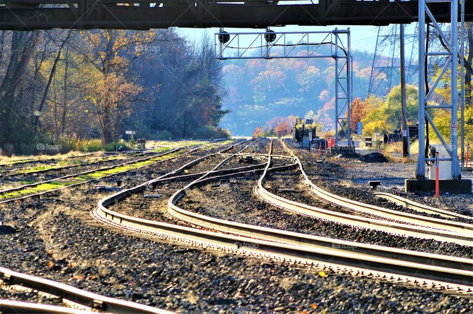 Scenic Railroad Tracks