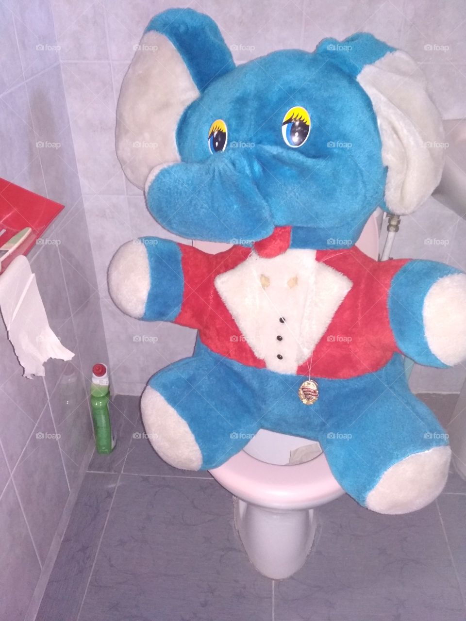 elephant on the toilet