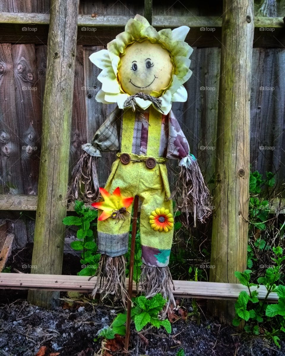 Mr Scarecrow