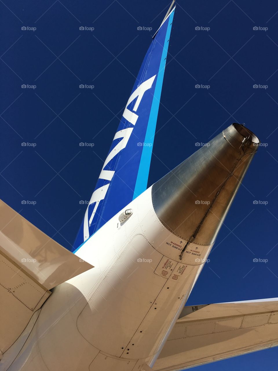 ANA Dreamliner tail