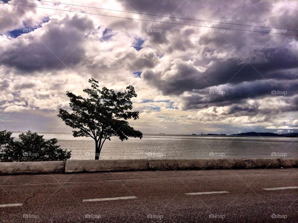 Tranquil Island Life