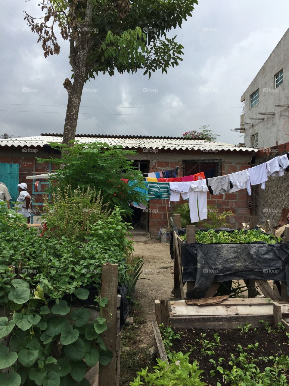 Costa Rican home and garden