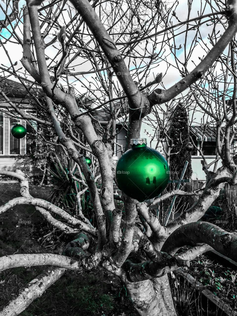 Christmas bauble in black and white with green accent