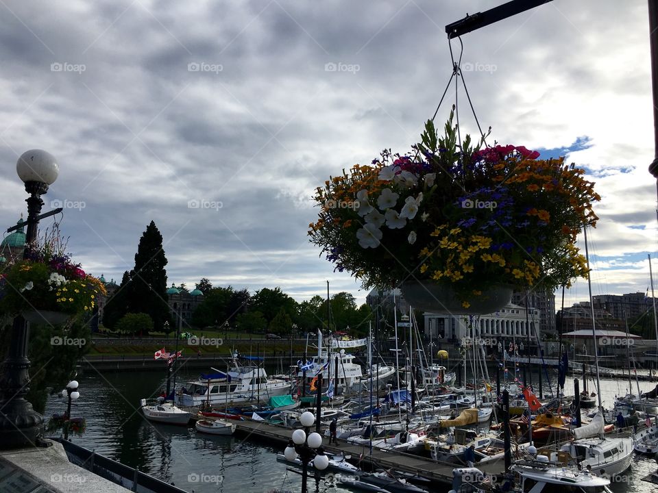 View on harbour