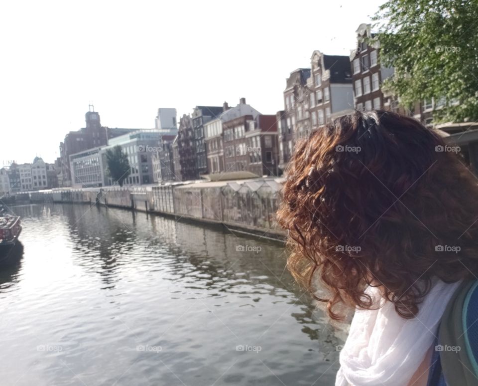 un vistazo a los tan representativos canales de Amsterdam, iluminados por el sol veraniego