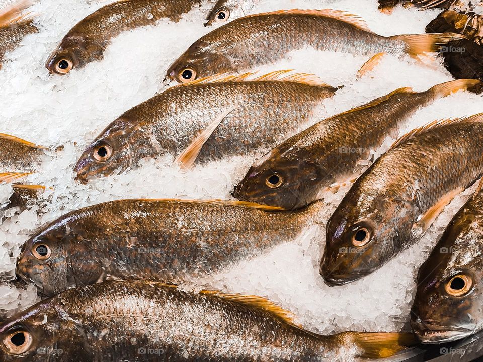 Goldband Snapper fish at the local fish market