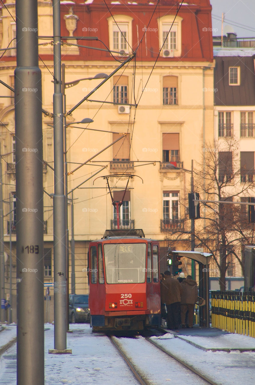 train tram transportation belgrade by campbellrobertson