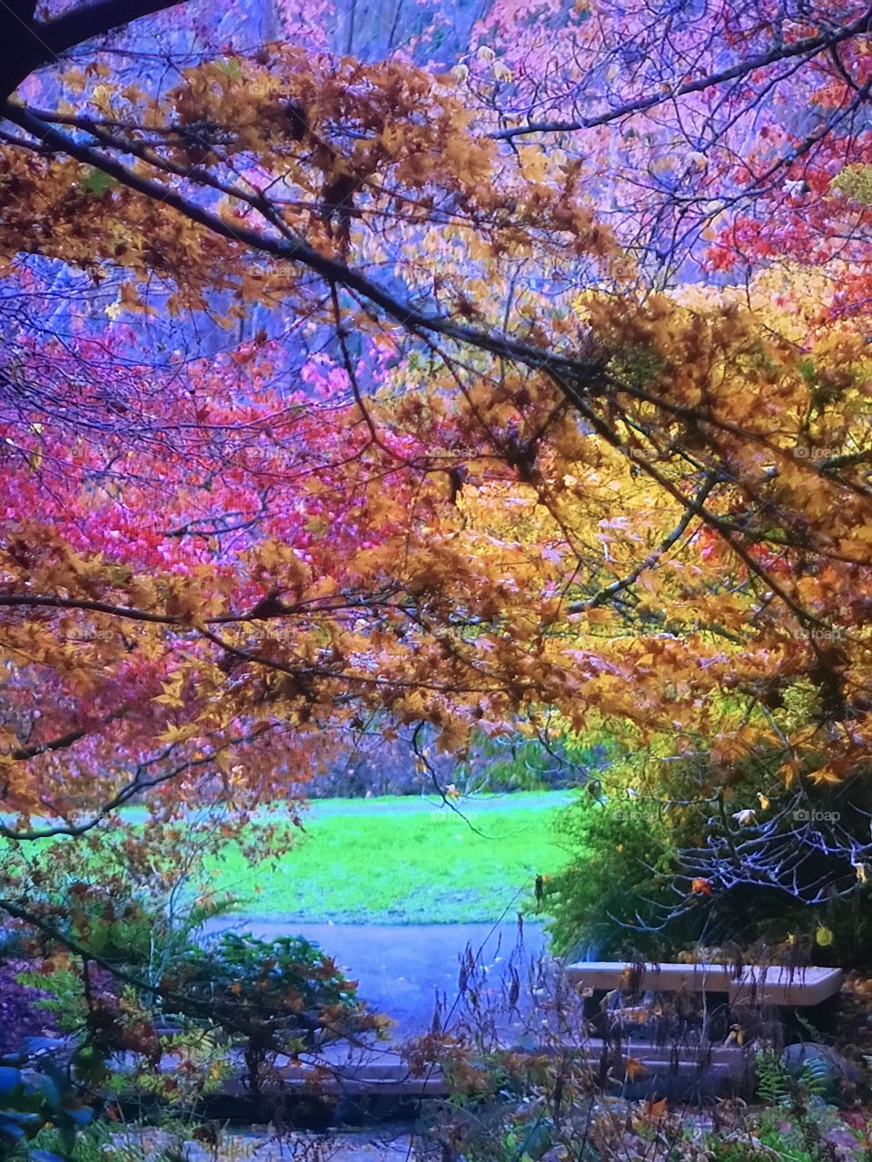 Washington Autumn Season 