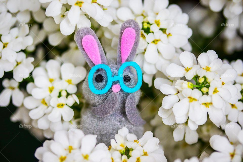 Happy Easter from bunny 😊