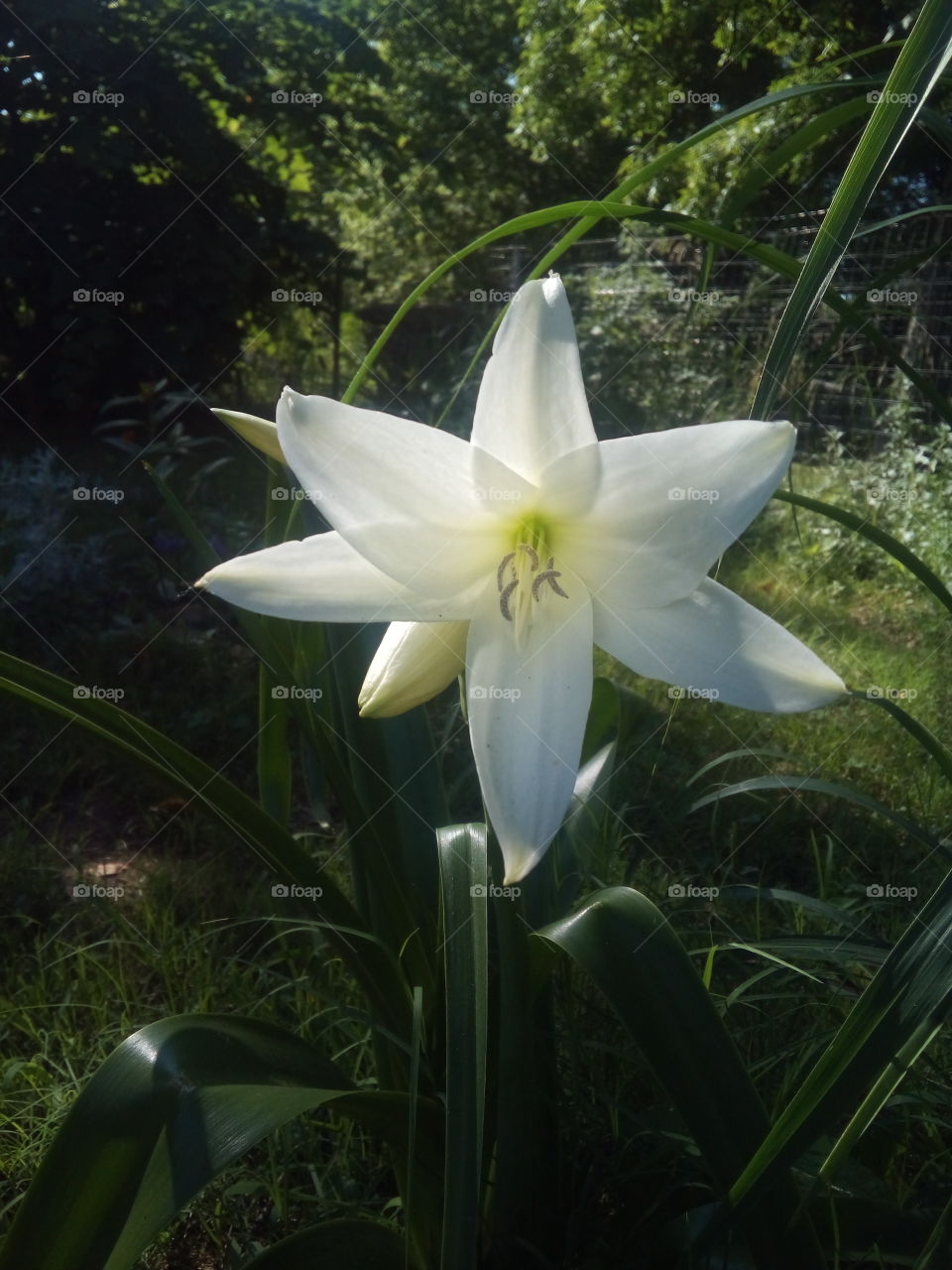 beauty is all around us we just need to be still and breathe and take it all in and enjoy.