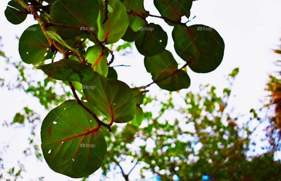 Look up to the skies 