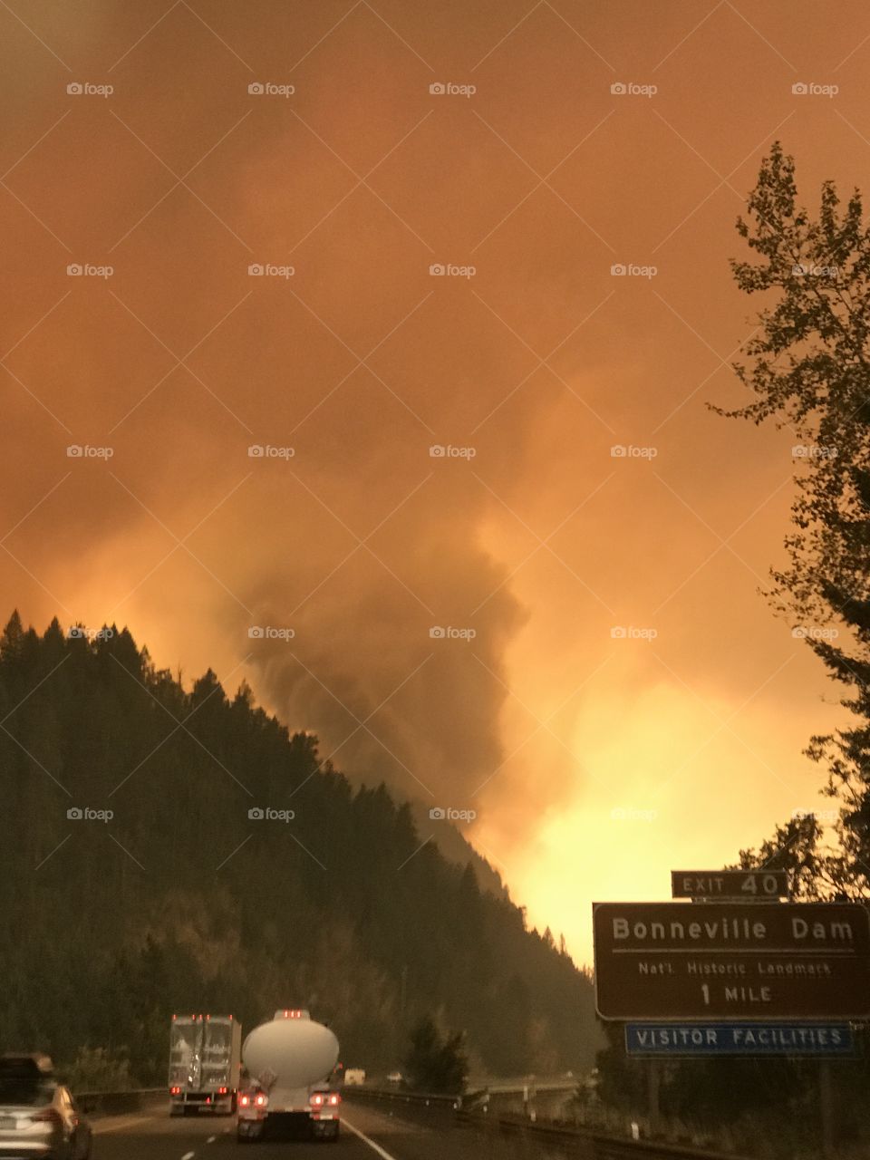 Eagle Creek Fire 